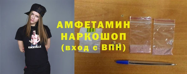 СК Алексин
