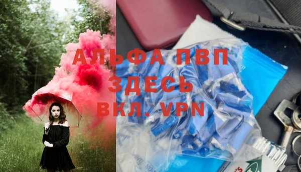 СК Алексин