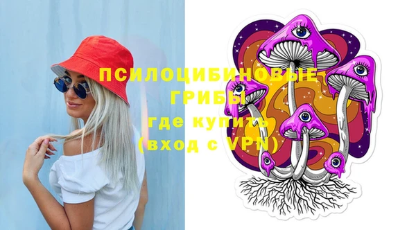 СК Алексин