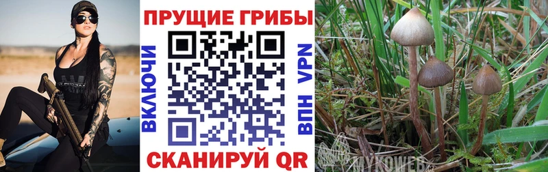 Псилоцибиновые грибы MAGIC MUSHROOMS  Агрыз 