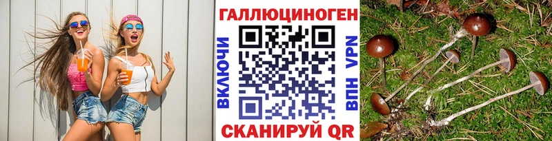 Псилоцибиновые грибы Cubensis Агрыз